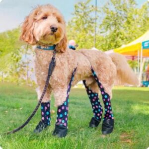 Walkee Paws - Suspender Boot Leggings (Deluxe, Easy-On)